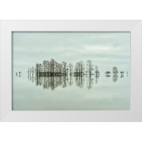 Lake-Shore Lineup Beauty White Modern Wood Framed Art Print by Yu, Liyun