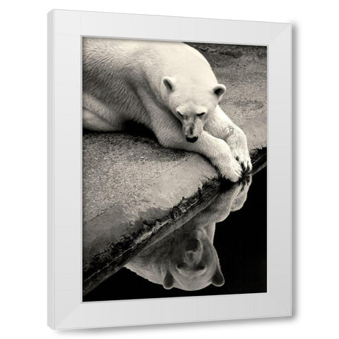 Who Is That Beauty In The Water White Modern Wood Framed Art Print by Wallberg, Allan