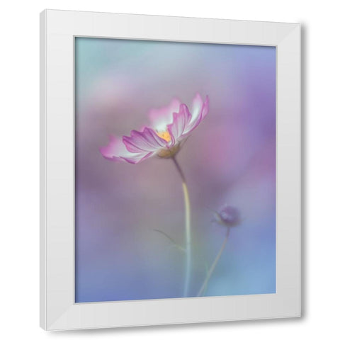 Pink Elegance White Modern Wood Framed Art Print by Koumura, Miyako