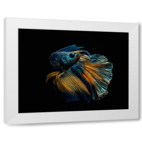 My Dress White Modern Wood Framed Art Print by Halil, Andi