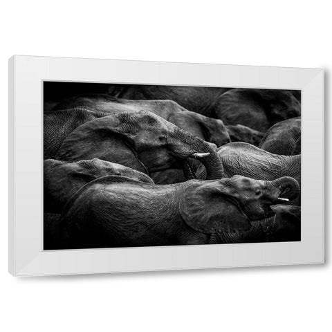 Elephant Herd White Modern Wood Framed Art Print by Eriksson, Denise
