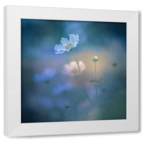 White Shadow White Modern Wood Framed Art Print by Koumura, Miyako