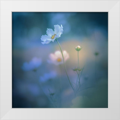 White Shadow White Modern Wood Framed Art Print by Koumura, Miyako