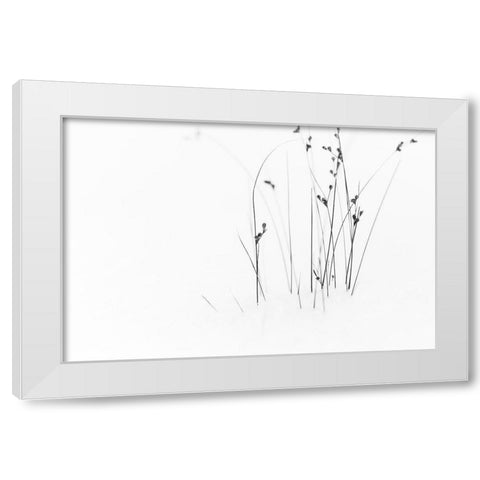 Black On White White Modern Wood Framed Art Print by Ljubicic, Dusan