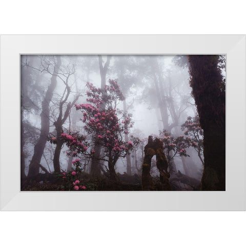 Through The Fog White Modern Wood Framed Art Print by Kupratsevich, Dmitry