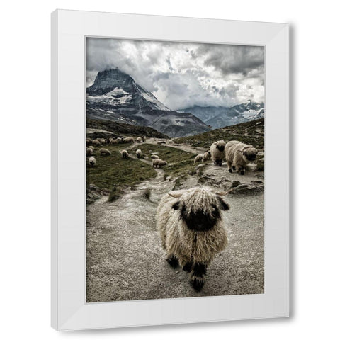 Out Of My Way White Modern Wood Framed Art Print by Landolt, Susanne