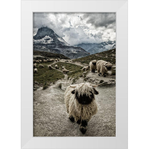 Out Of My Way White Modern Wood Framed Art Print by Landolt, Susanne