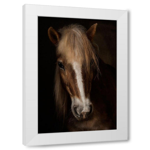 Sapience White Modern Wood Framed Art Print by Benezech, Martine