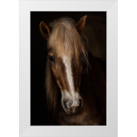 Sapience White Modern Wood Framed Art Print by Benezech, Martine