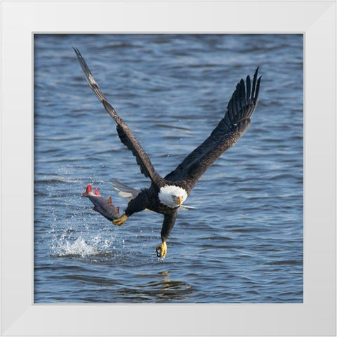 Lunch Over Mississippi White Modern Wood Framed Art Print by Fan, John