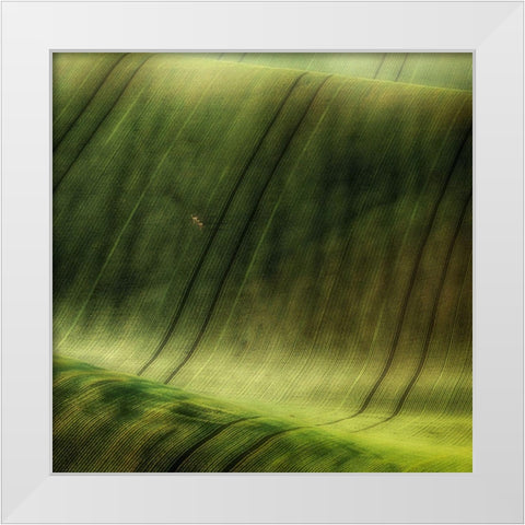 Green Fields White Modern Wood Framed Art Print by Krol, Piotr