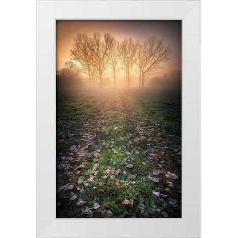 Misty Morning White Modern Wood Framed Art Print by Rebustini, Luca