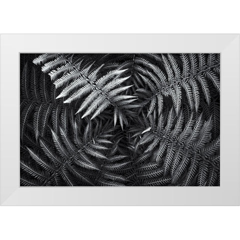 Untitled 56 White Modern Wood Framed Art Print by E. Karcz, Gary