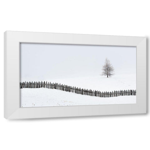 The Larch Behind The Fence White Modern Wood Framed Art Print by Miribung, Vito