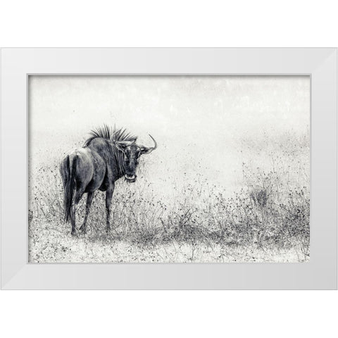 The Endless Grass-Fields White Modern Wood Framed Art Print by Flour, Piet