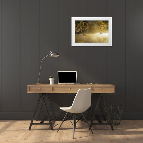 Egret White Modern Wood Framed Art Print by Zhu, Hua