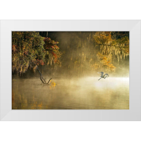 Egret White Modern Wood Framed Art Print by Zhu, Hua