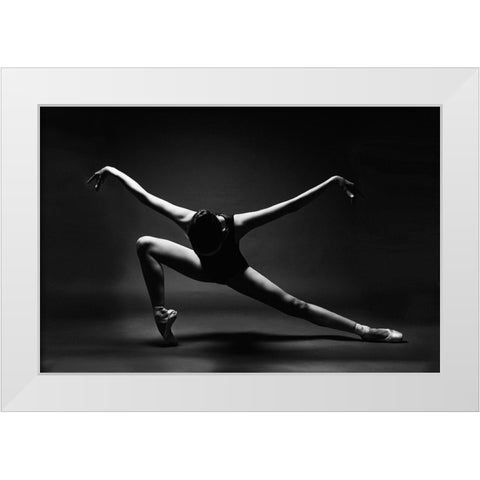 Soaring White Modern Wood Framed Art Print by Alexandr