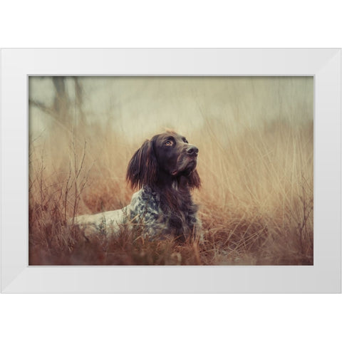 Beautiful Aragorn White Modern Wood Framed Art Print by Willers, Heike