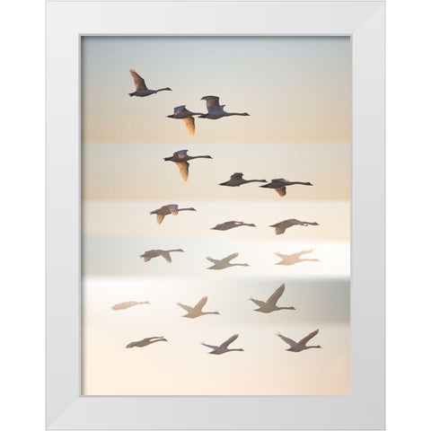 Past The Sun. White Modern Wood Framed Art Print by Londal, Leif