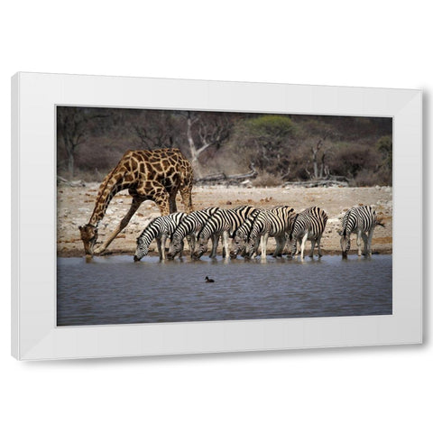 Together At The Bar White Modern Wood Framed Art Print by Hawerkamp, Hans-Wolfgang