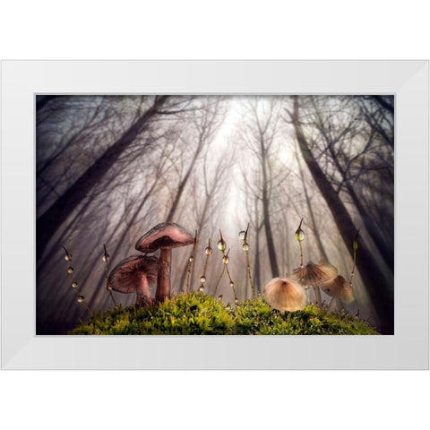 Small And Giant Creatures Of The Woods White Modern Wood Framed Art Print by Ghizzi Panizza, Alberto