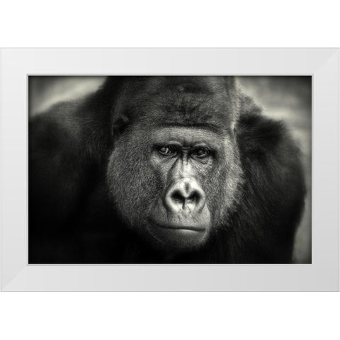 Little Smile .... White Modern Wood Framed Art Print by Wenner-Braun, Antje