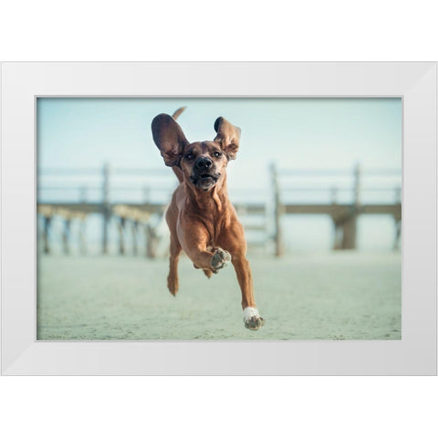 Up-Up To The Sky White Modern Wood Framed Art Print by Willers, Heike