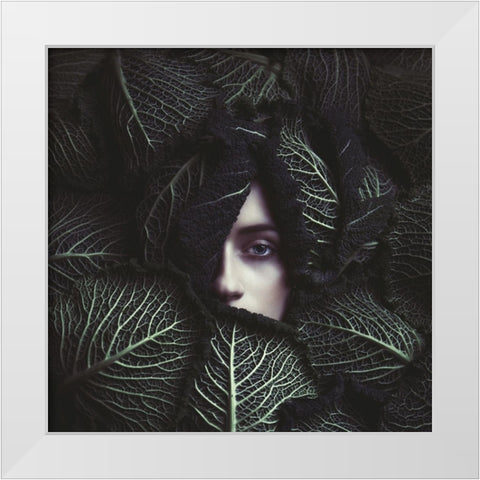 Cabbage White Modern Wood Framed Art Print by Russocka, Magdalena