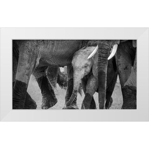 Family Protection White Modern Wood Framed Art Print by Fan, John