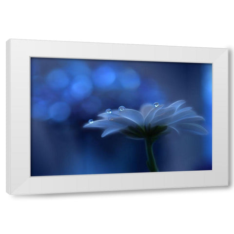 Space Dreams... White Modern Wood Framed Art Print by Nan, Juliana