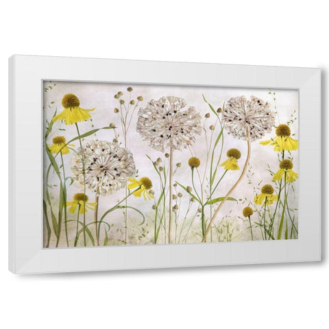 Alliums And Heleniums White Modern Wood Framed Art Print by Disher, Mandy