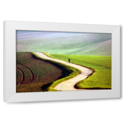 Bicyclist White Modern Wood Framed Art Print by Krol, Piotr