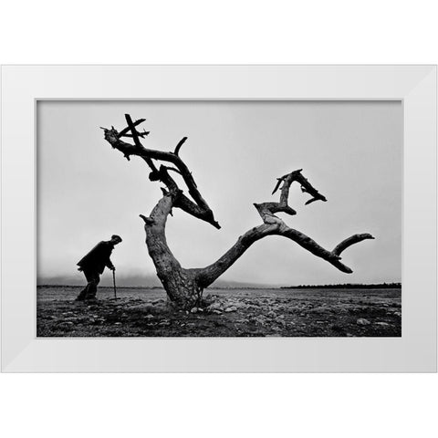 Old Man And Tree White Modern Wood Framed Art Print by Tang, Wei