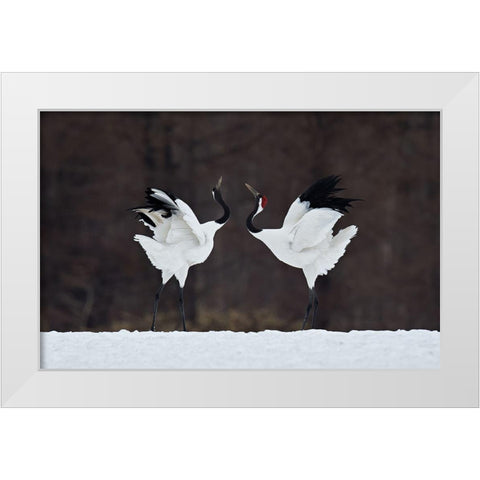 Lovers White Modern Wood Framed Art Print by Tjandra, C.S.