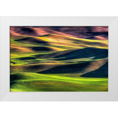 Spring Palette White Modern Wood Framed Art Print by Smith, Siana