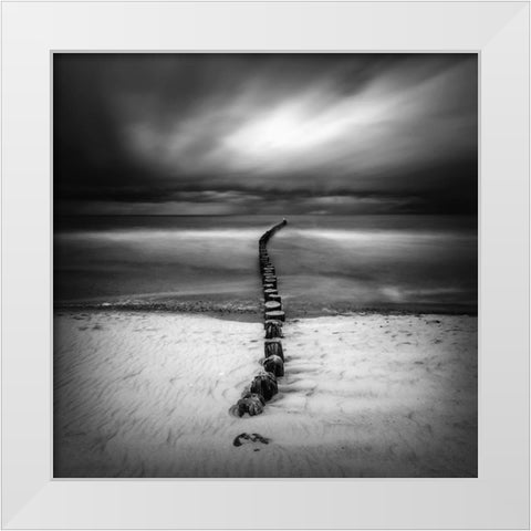 Ssss White Modern Wood Framed Art Print by Krol, Piotr