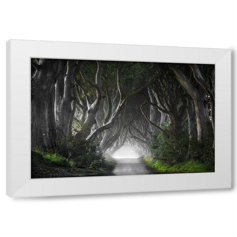 Dark Hedges White Modern Wood Framed Art Print by Molteni, Nicola