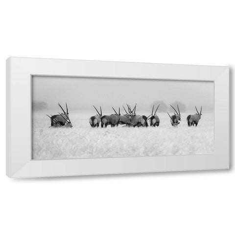 Oryx In The Rain White Modern Wood Framed Art Print by Trubitsyn, Kirill