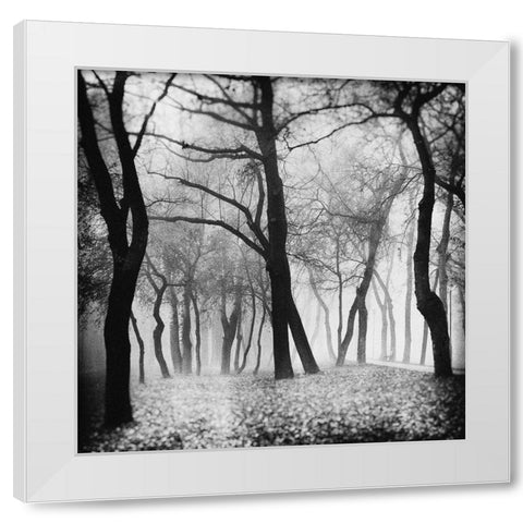 Mystique White Modern Wood Framed Art Print by Bogdan, Marchevca
