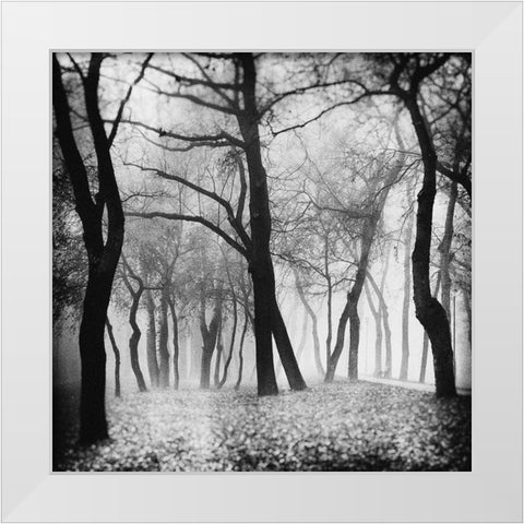 Mystique White Modern Wood Framed Art Print by Bogdan, Marchevca