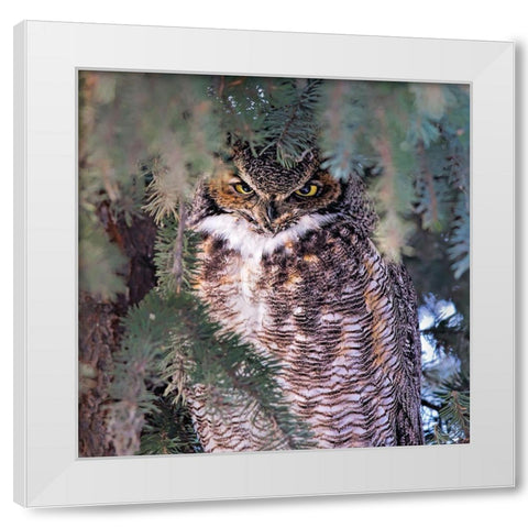 I Am Watching You White Modern Wood Framed Art Print by Zuo, Jun