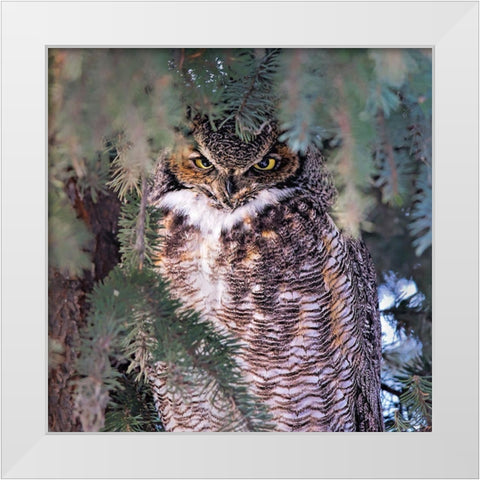 I Am Watching You White Modern Wood Framed Art Print by Zuo, Jun
