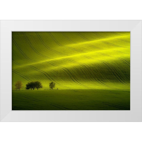 Sunlight White Modern Wood Framed Art Print by Banny, Peter