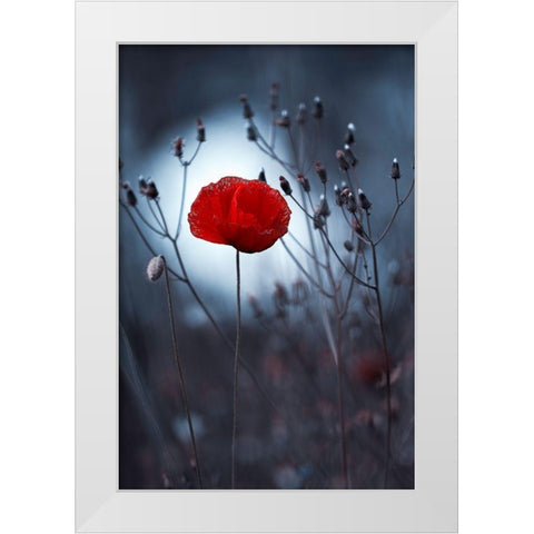 Flower Not By Kenzo. By Me White Modern Wood Framed Art Print by Bravin, Fabien