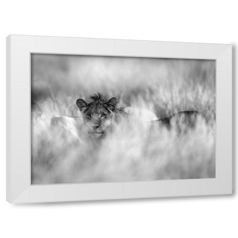 Subtle Mane White Modern Wood Framed Art Print by Marx, Jaco