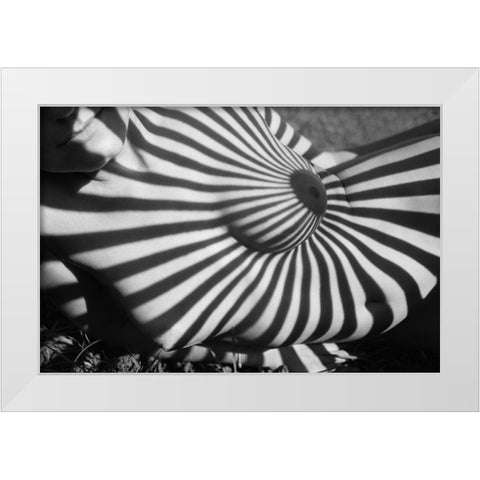 Target White Modern Wood Framed Art Print by Faletkin, Mikhail