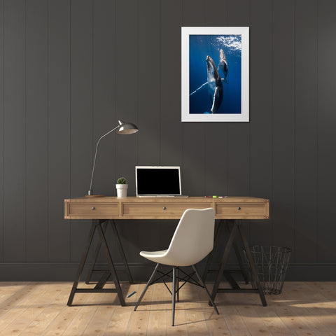 Back To The Surface White Modern Wood Framed Art Print by Gabriel, Barathieu