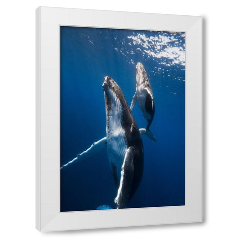 Back To The Surface White Modern Wood Framed Art Print by Gabriel, Barathieu