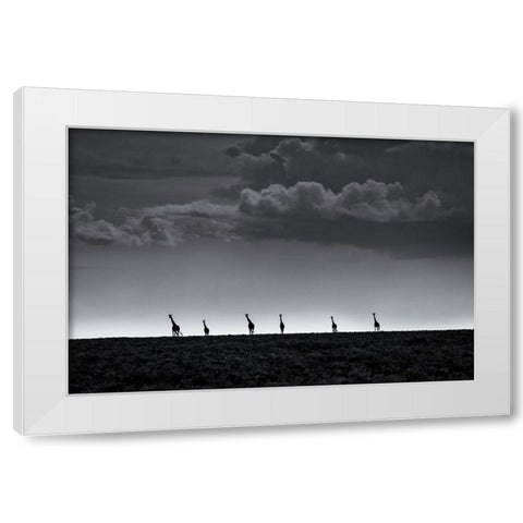 6 Giraffes White Modern Wood Framed Art Print by Metro, Greg